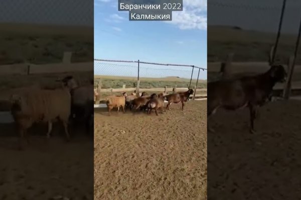 Даркнет сайт скачать