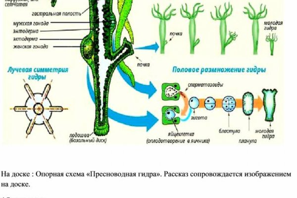 Кракен даркнет зеркало