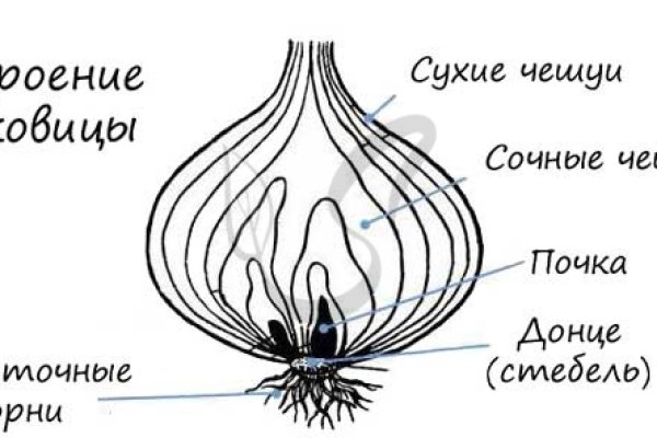 Kraken официальная ссылка tor