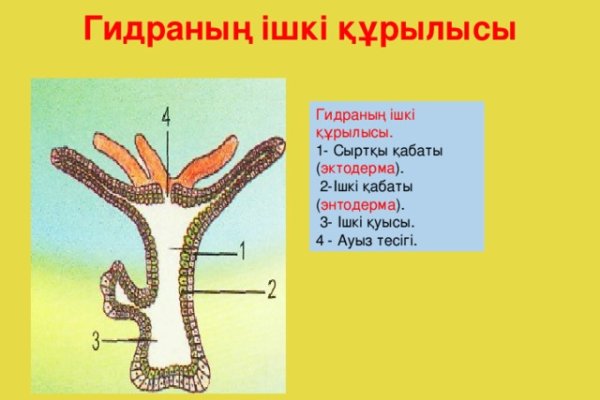 Можно вывести деньги с кракена