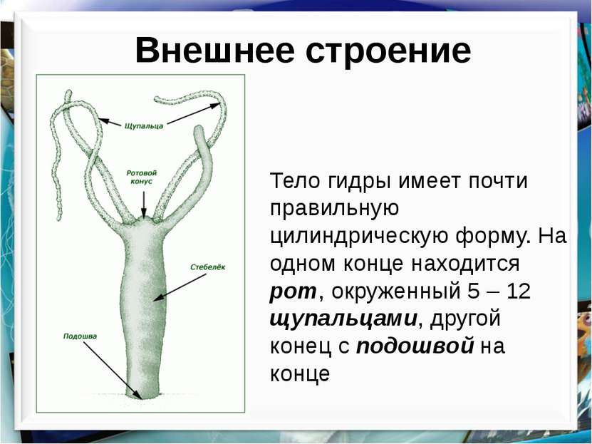 Купить героин в москве